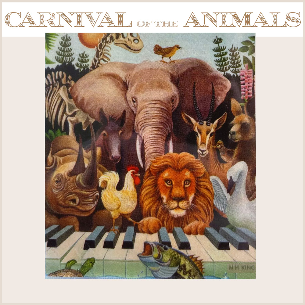 Animals