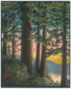 Symphony of the Redwoods