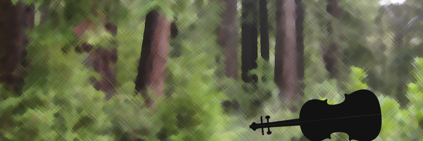 cello in the forest